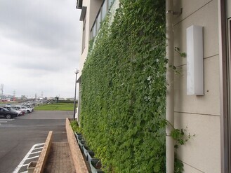 写真2