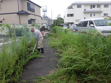 草刈り状況