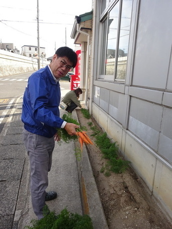 木之山五寸にんじん