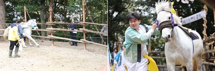 半月七社神社おまんと祭りの様子