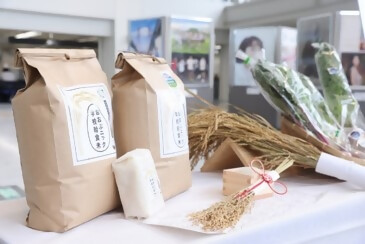 おおぶニック学校給食米