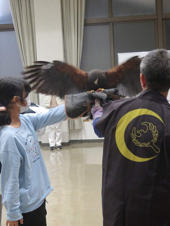 鷹のキャッチした風景