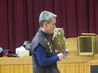 ミミズクをタッチ