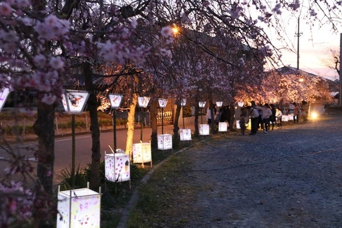 イメージ写真です