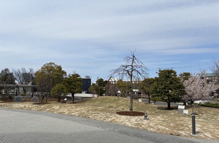 市役所市民健康広場「平和の丘」
