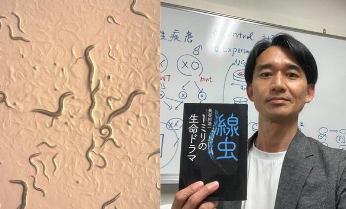 線虫と講師の画像