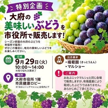 ぶどう販売の案内