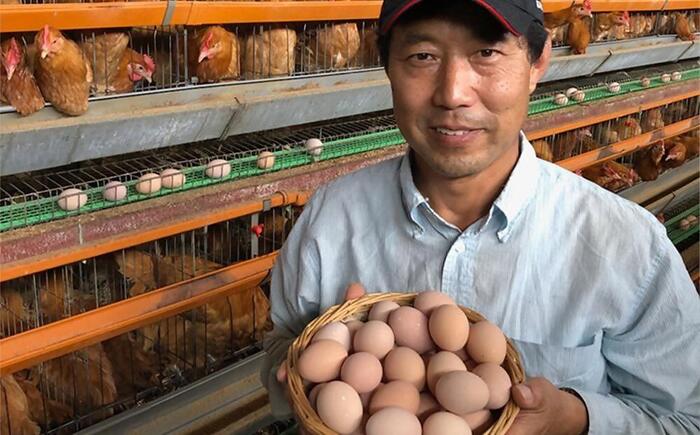 花井養鶏場